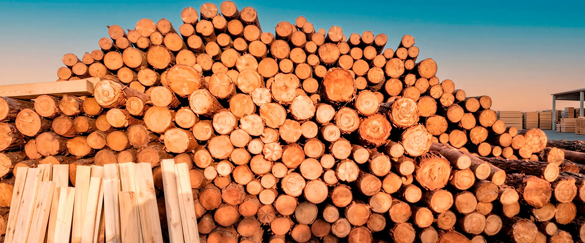 Fabricación de pallets