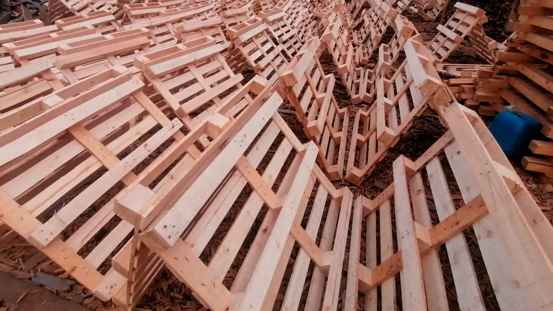 Foto de pallets recuperados y acondicionados