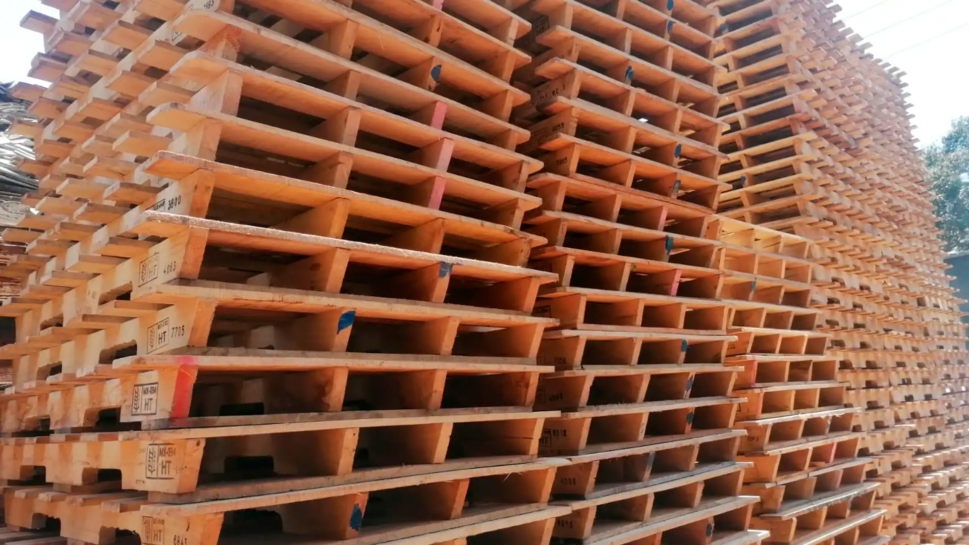 Proceso de secado de madera